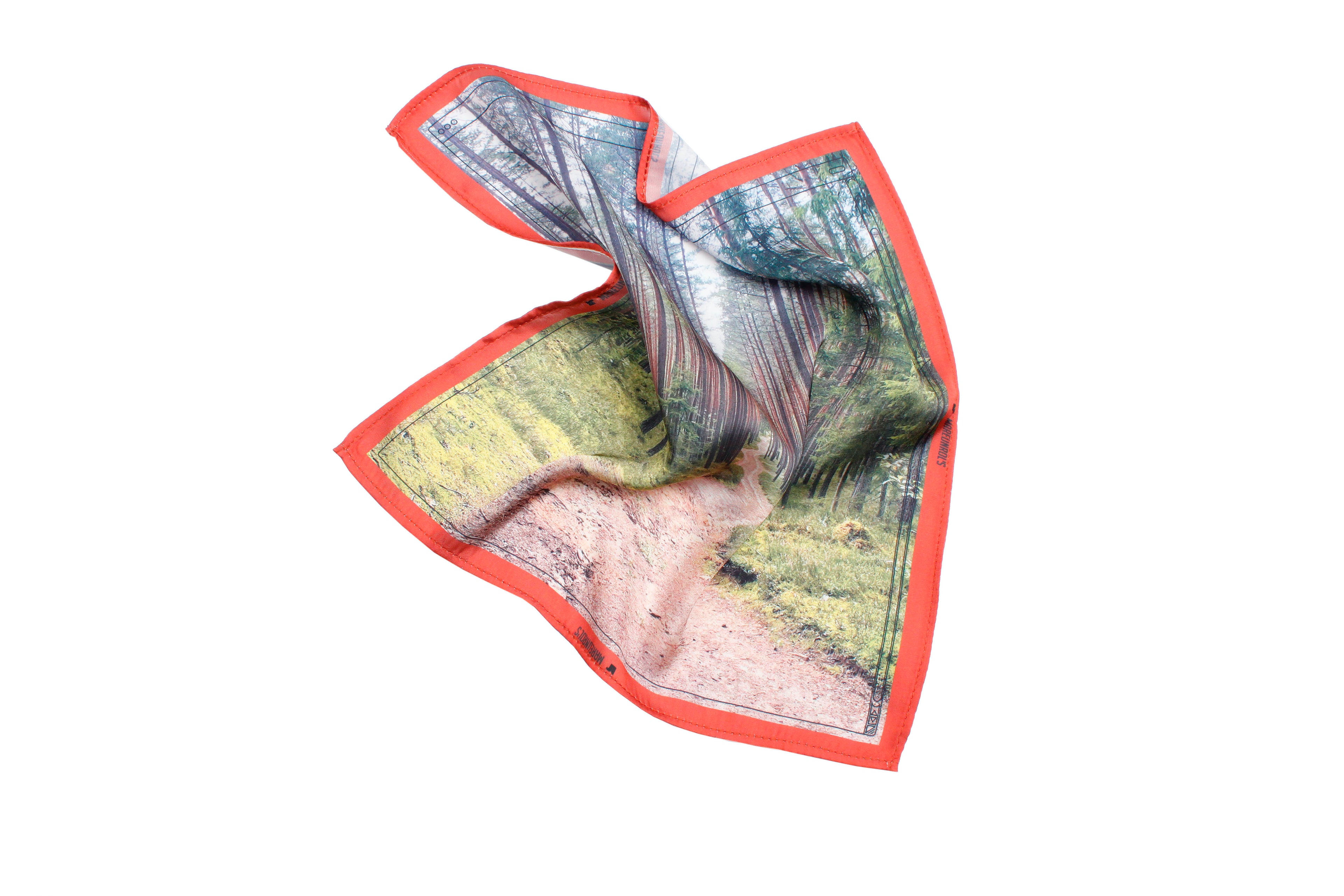 Invisible Exercises __ Scene 0002 __ Scarf