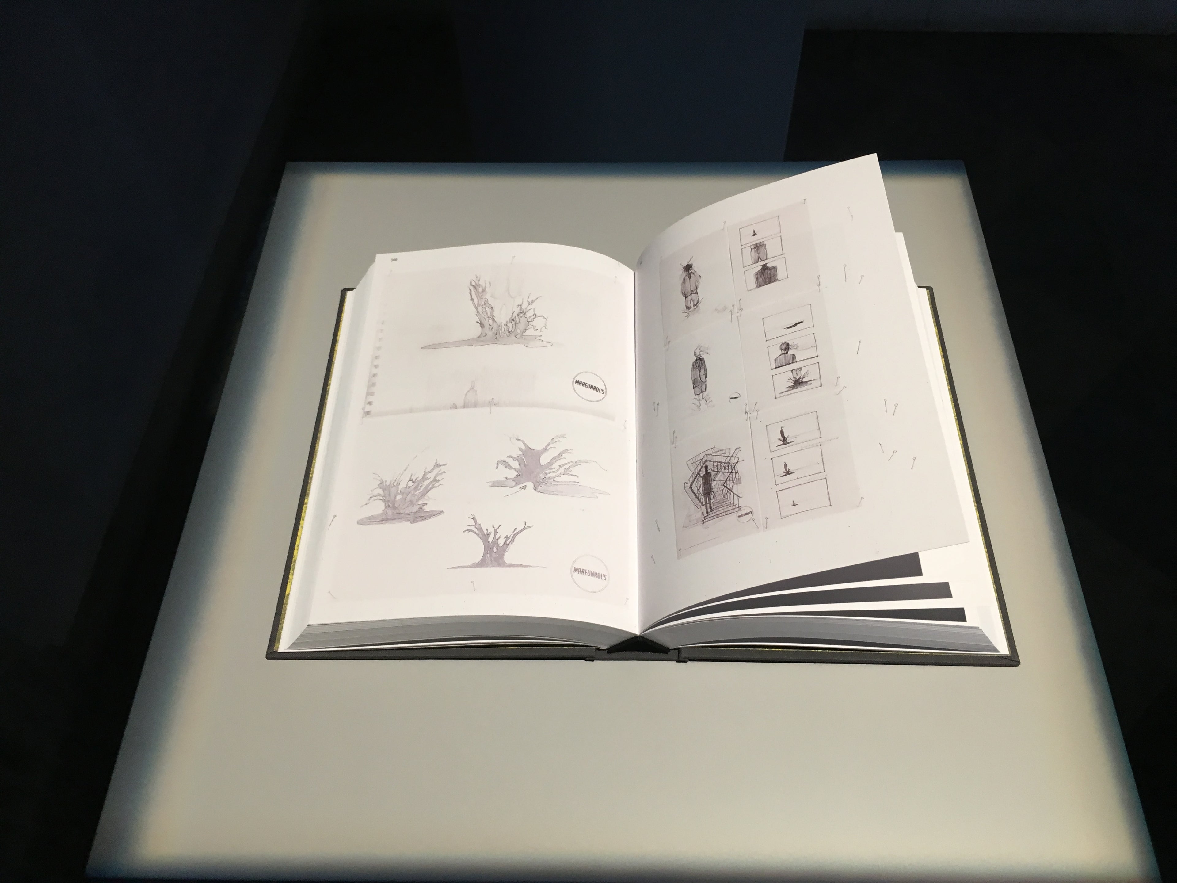 MAREUNROL'S BOOK